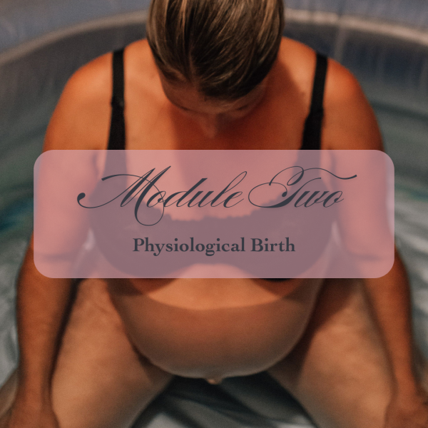 Module 2 - 11 February