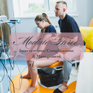 Module 3 - 18 February