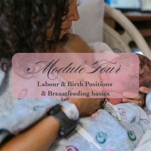 Module 4 - 25 February